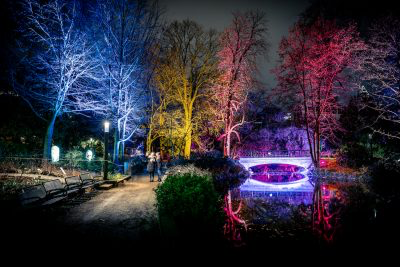 Winterlichter Im Palmengarten Frankfurt Frankfurt City Hotels